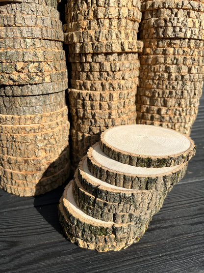 Close up of 3.5 to 4-inch diameter ash wood rounds, cup coaster size