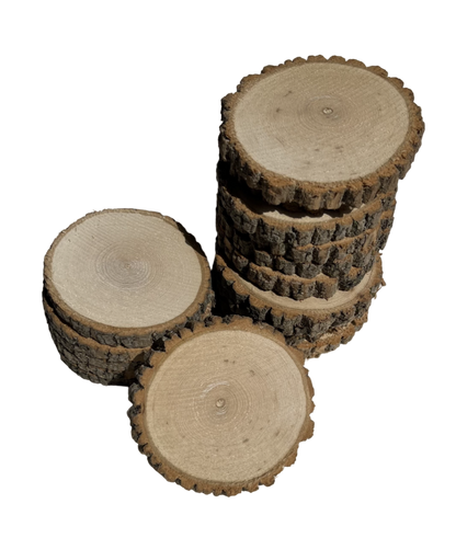 Small Live-Edge Wood Coasters (3" to 3.4")